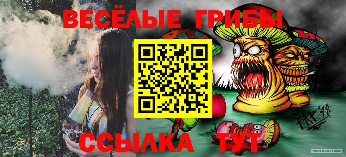 Псилоцибиновые грибы мицелий Артёмовский