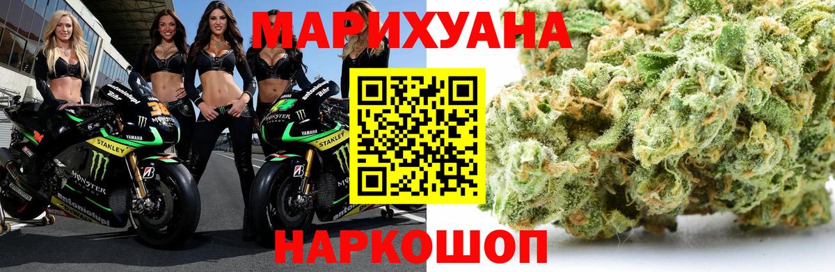 Конопля планчик Артёмовский